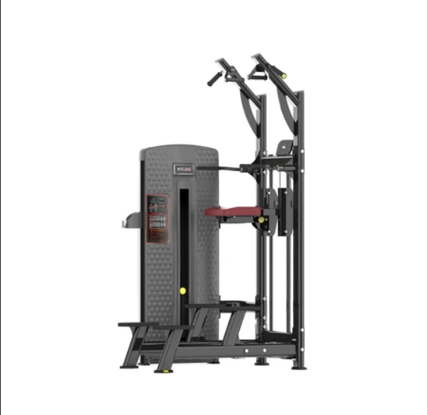 Assisted Pullup & Dip